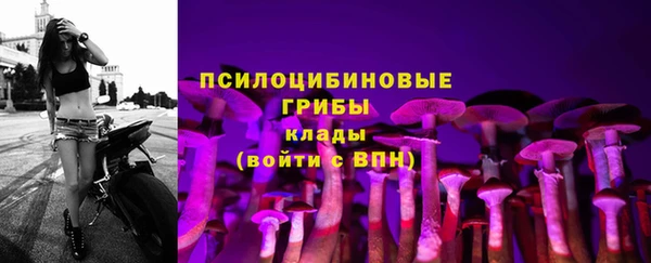 первитин Абинск
