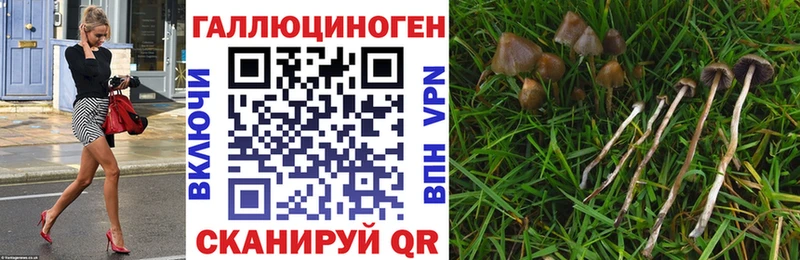 Галлюциногенные грибы GOLDEN TEACHER Тимашёвск