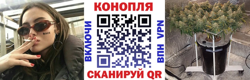 OMG вход  Тимашёвск  Бошки Шишки Ganja 